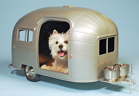 Reboque para camping com cães