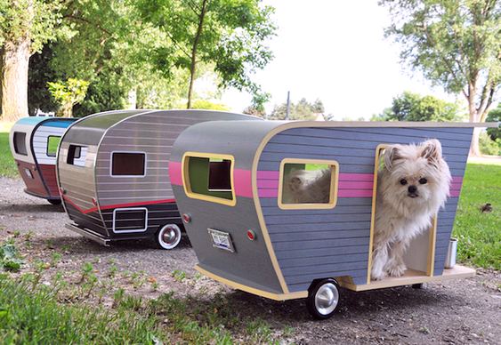 Reboque para camping com cães