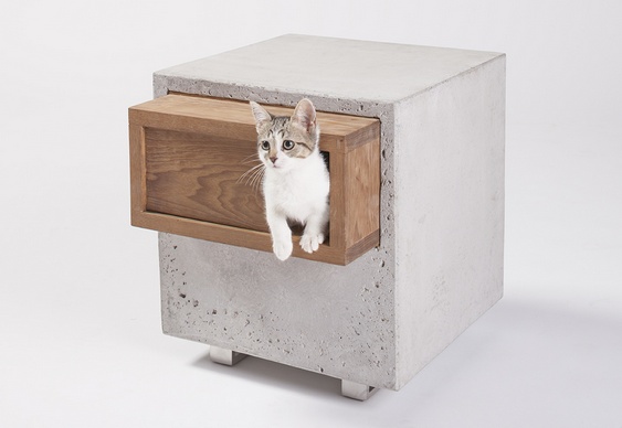 Casinha de cimento para gatos