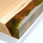 Musgos encapsulados em resina compõem móveis de madeira
