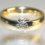 Namorada dá anel com tartaruga de presente para mergulhador
