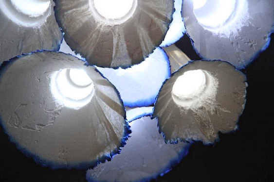 Flores de papel iluminadas