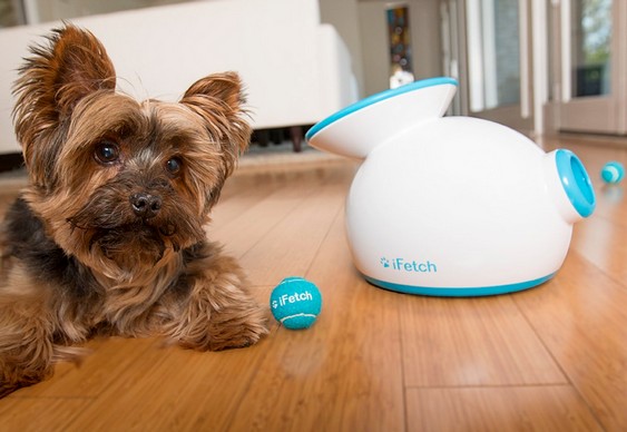 Lançador de bolinhas iFetch