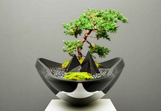 Projeto de vaso contemporâneo
