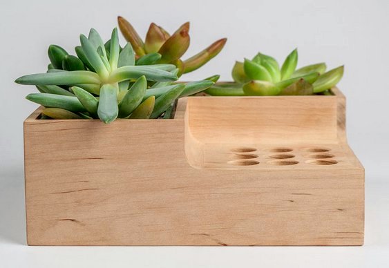 Vaso de plantas e flores para escritório