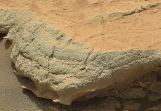 Vida microbiana em Marte