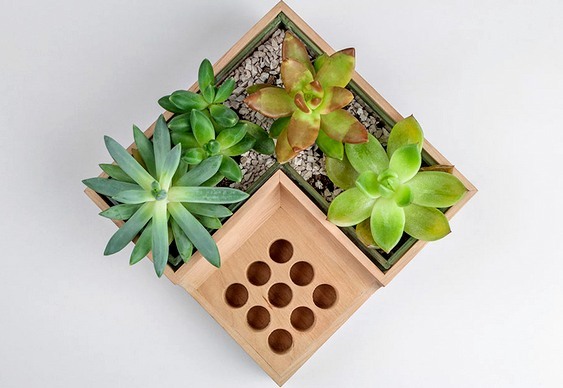 Vaso de plantas e flores para escrivaninha