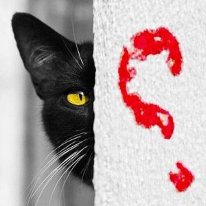 Blog do gato preto