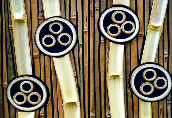Bambu decorativo