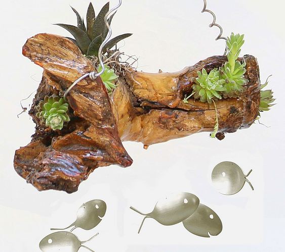 Cardume de peixinhos