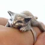 Gatinho dorme esparramado sobre o dedo em anel de prata