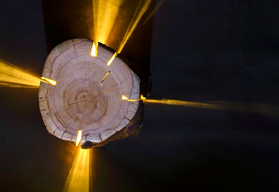 Iluminação com troncos