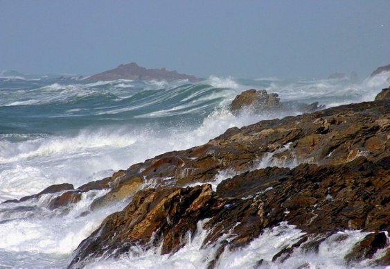 Pareidolia - baleia no mar