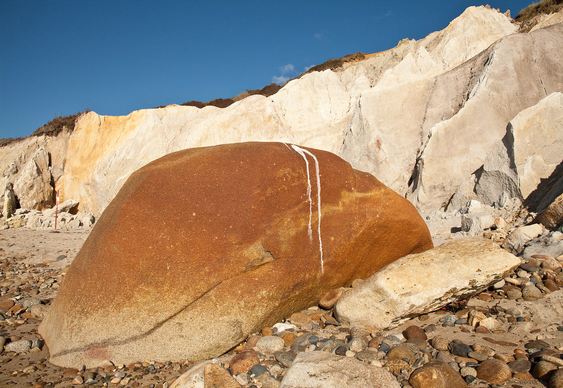 Baleia encalhada na areia