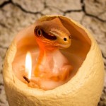 Acenda uma vela para chocar o seu próprio bebê dinossauro
