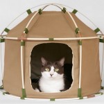 Barraca de bambu e lona para você acampar com o seu gato