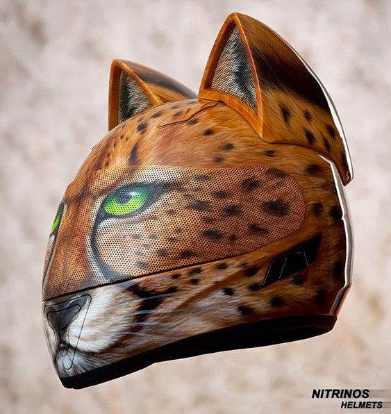 Motociclista felina