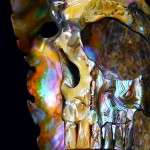 Caveira entalhada numa concha iridescente de abalone