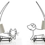 Cães e gatos nos suportes porta-rolos de papel higiênico