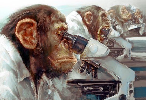 Evolução Darwin
