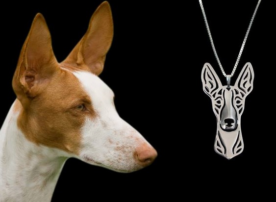Joalheria pet de prata