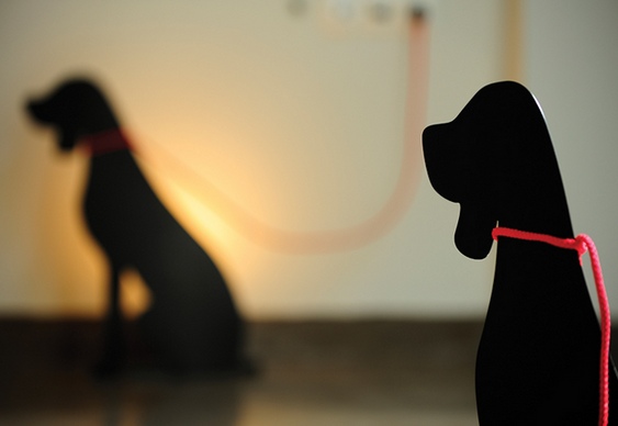 Iluminação com silhueta de cãozinho