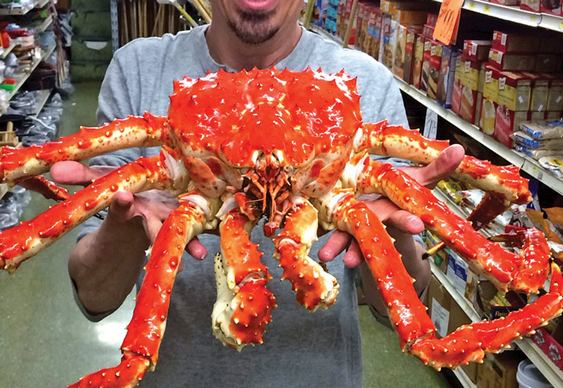 Caranguejos em extinção