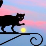 Gatos se equilibram no alto de letreiros retrô de metal