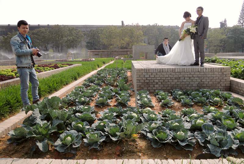 Produção sustentável de verduras e legumes
