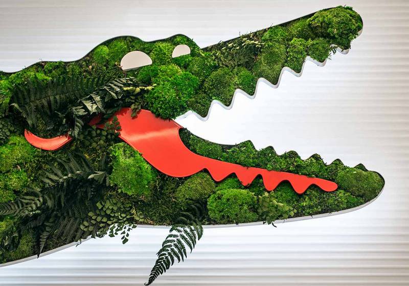 Logo da marca de camisas polo Lacoste
