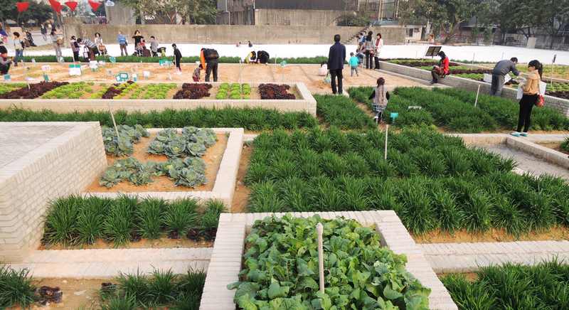 Produção sustentável de verduras e legumes