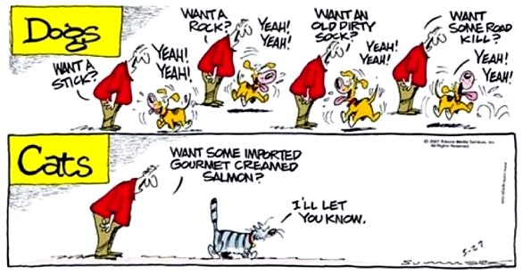 Cachorros versus gatos Personalidades de cães e gatos