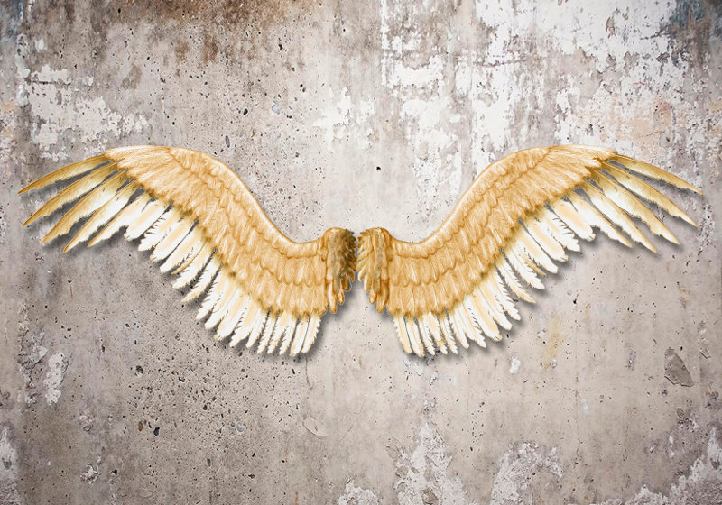 Par de asas de anjo