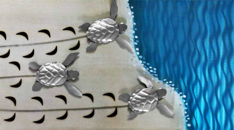 Filhotes de tartarugas marinhas na praia