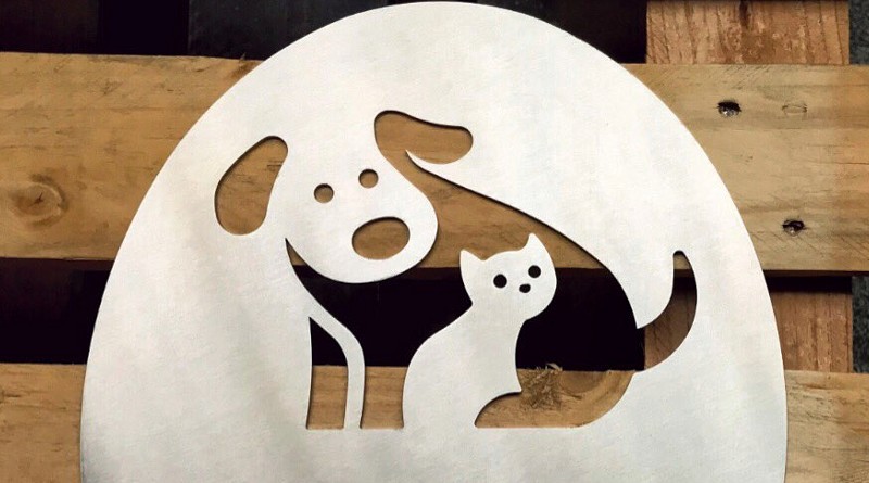 Painel de parede com cão e gato